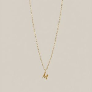 Collar Letter Chain Mini  Cadena con Dije de Inicial Mini   Chapa de Oro 22K