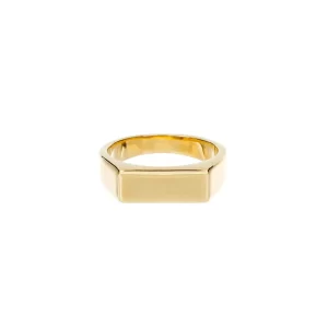 Anillo Sello Terra  de Oro 22k