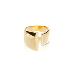 Anillo Sello Dual  Chapa de Oro 22